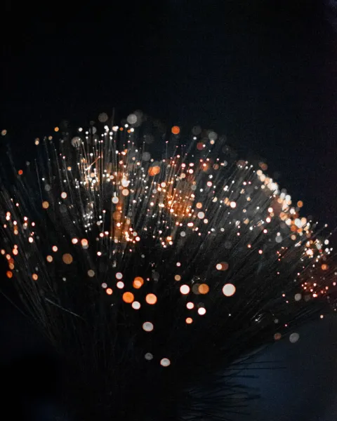 Fibre-optic strands glowing in warm light